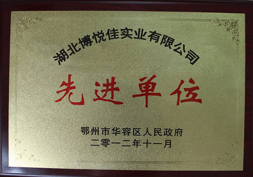 先進(jìn)單位  勻質(zhì)自保溫砌塊廠(chǎng)家