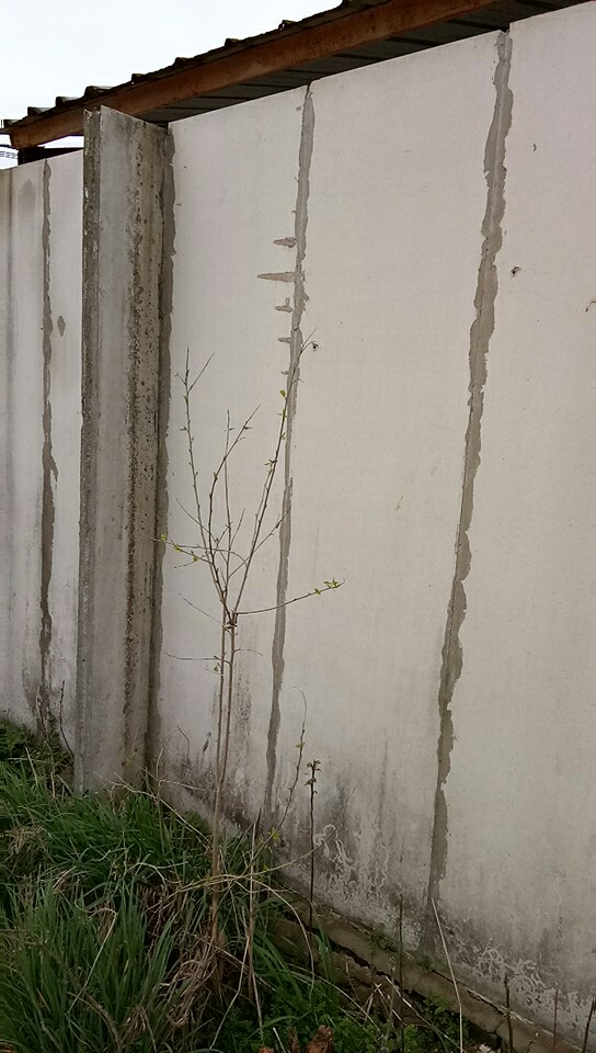 輕質(zhì)隔墻板外墻圍墻